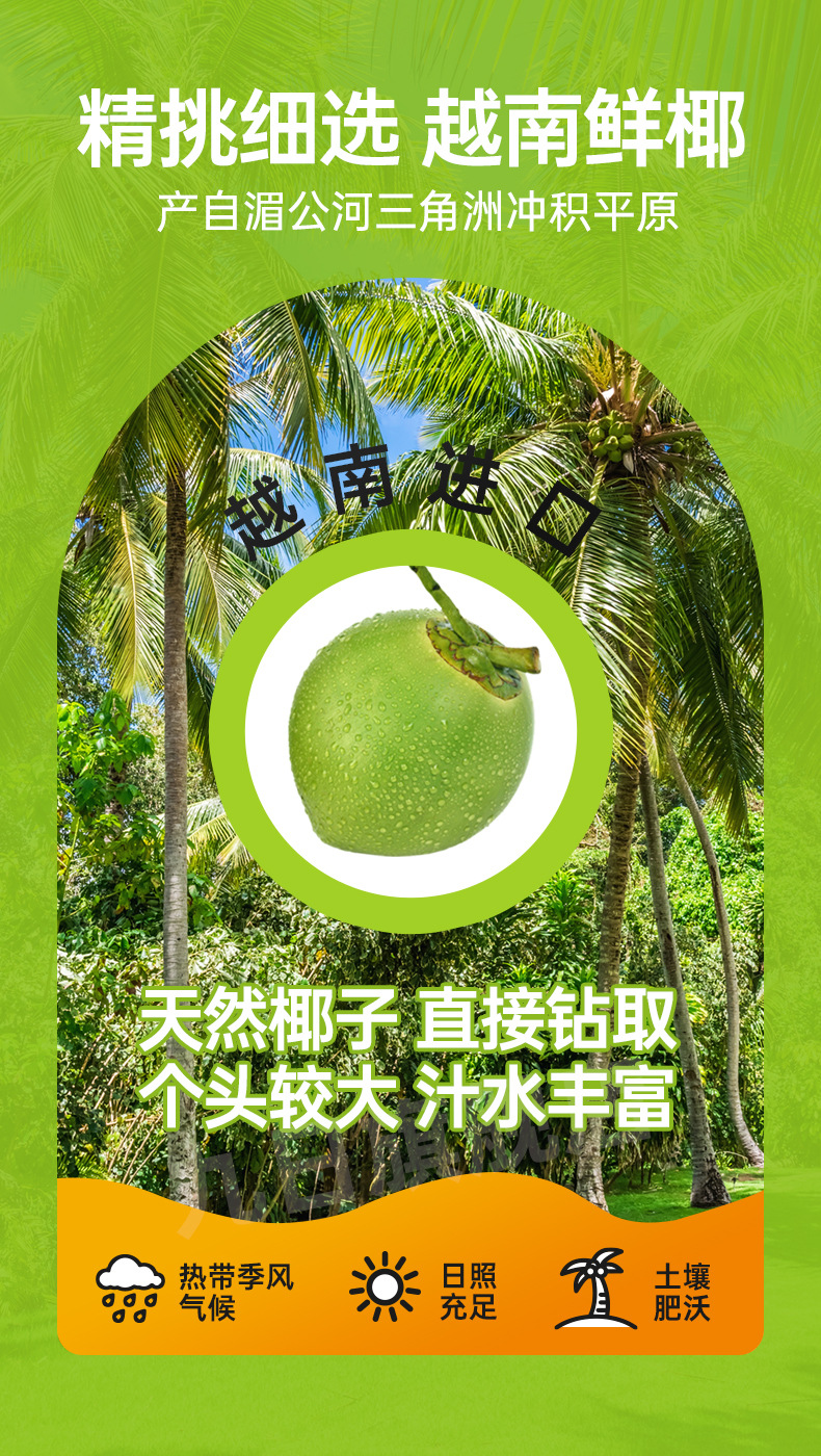 cef76ff85676b700d349e54a5ddc8d9b_O1CN016TRNmn1CNeGAyzcNF_!!2807530069-0-cib.jpg