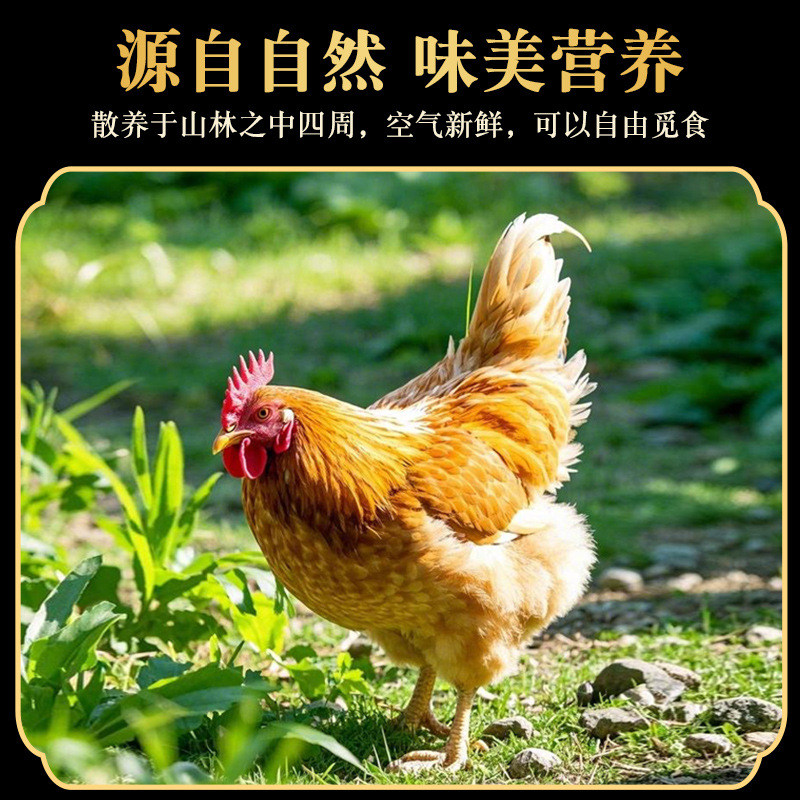 d4197a4066075364c85951c7a44a3d4c_O1CN01BJM5S31S9wMNVulP9_!!2219416612205-0-cib.jpg